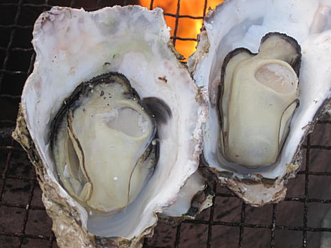 ĂyIςI