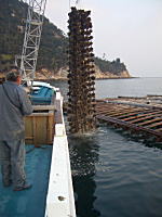 n`bI